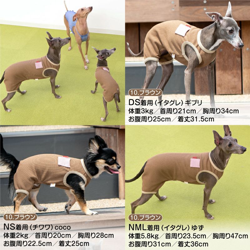 UVカット機能付きワッフルつなぎ(ダックス・小型犬用)