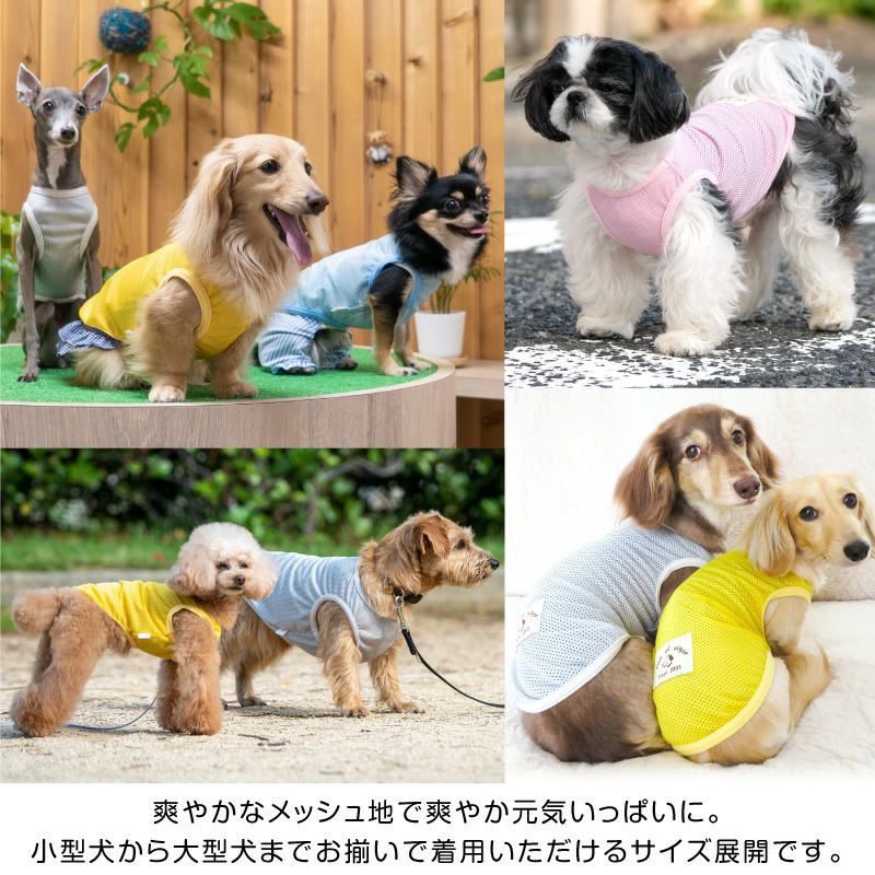 シンプルメッシュタンク(ダックス・小型犬用)