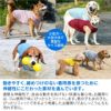 シンプルメッシュタンク(ダックス・小型犬用)