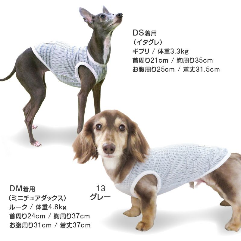 シンプルメッシュタンク(ダックス・小型犬用)