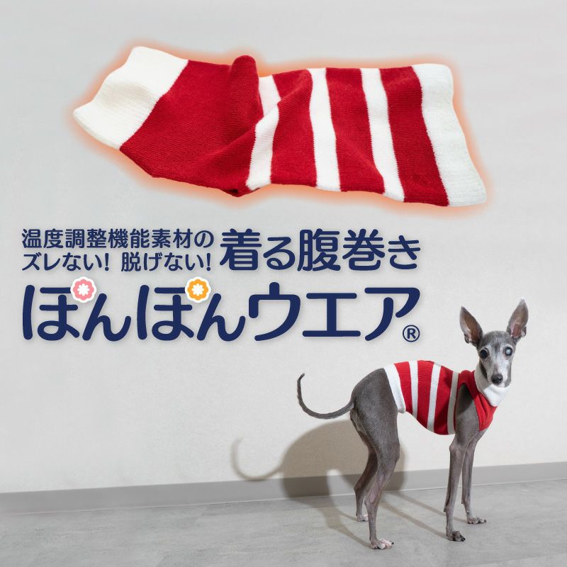 温度調整機能素材のズレない!脱げない!着る腹巻き!ぽんぽんウエア(R)(2023モデル)