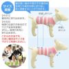 温度調整機能素材のズレない!脱げない!着る腹巻き!ぽんぽんウエア(R)(2023モデル)