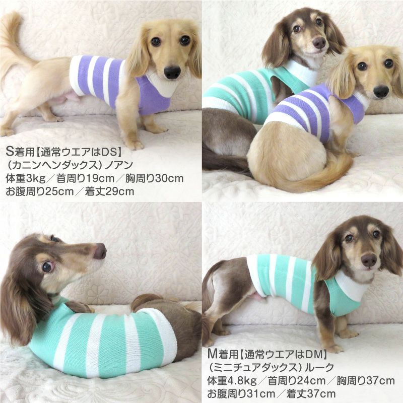 温度調整機能素材のズレない!脱げない!着る腹巻き!ぽんぽんウエア(R)(2023モデル)