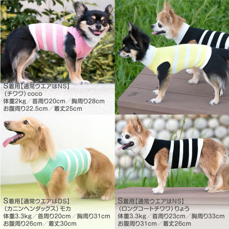 商品画像12