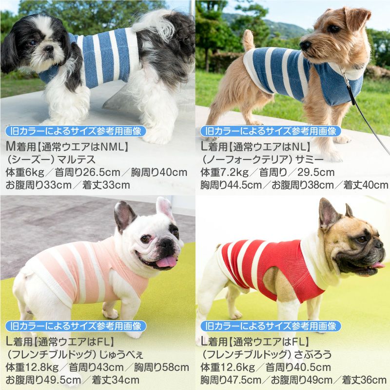 温度調整機能素材のズレない!脱げない!着る腹巻き!ぽんぽんウエア(R)(2023モデル)
