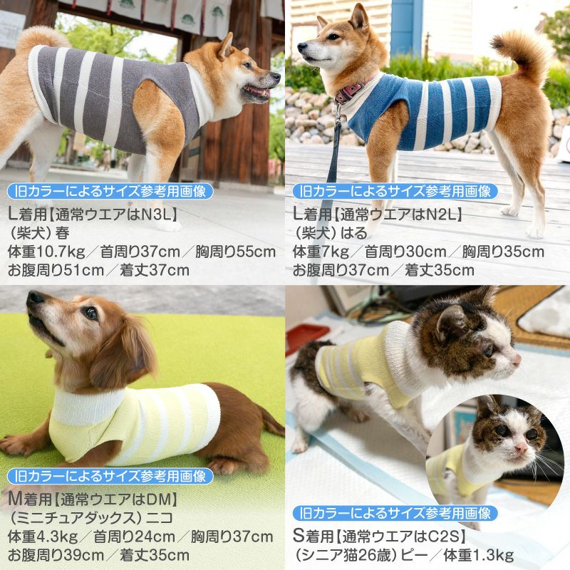 温度調整機能素材のズレない!脱げない!着る腹巻き!ぽんぽんウエア(R)(2023モデル)