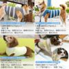温度調整機能素材のズレない!脱げない!着る腹巻き!ぽんぽんウエア(R)(2023モデル)