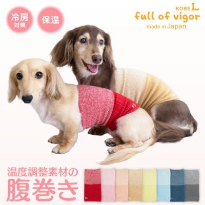 ダックス、猫 、小型犬の服、ドッグスリング（犬用スリング）、犬・猫