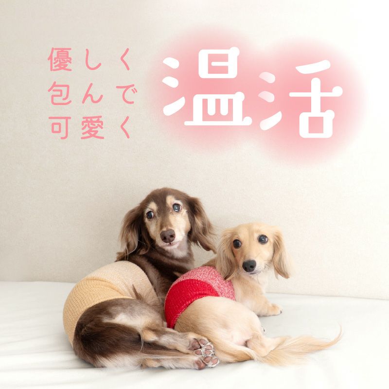 温度調整機能素材の腹巻き! シンプルぽんぽんウエア(R)(2023モデル)