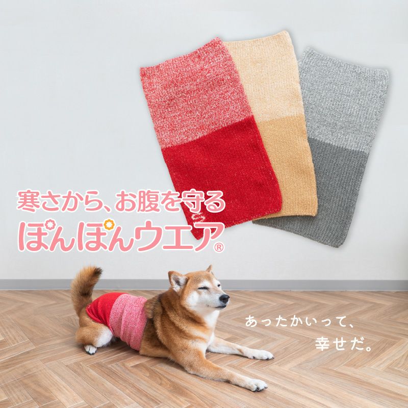 温度調整機能素材の腹巻き! シンプルぽんぽんウエア(R)(2023モデル)