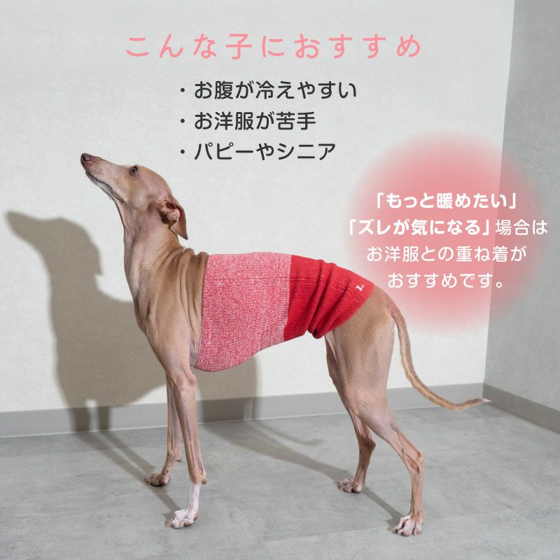 温度調整機能素材の腹巻き! シンプルぽんぽんウエア(R)(2023モデル)