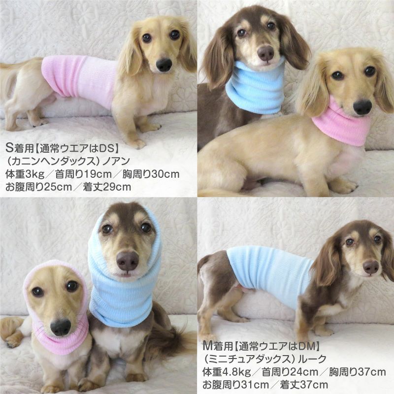 温度調整機能素材の腹巻き! シンプルぽんぽんウエア(R)(2023モデル)