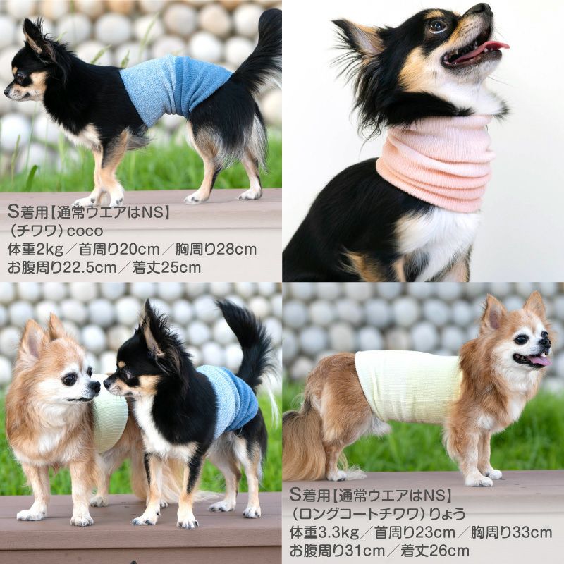 温度調整機能素材の腹巻き! シンプルぽんぽんウエア(R)(2023モデル)