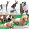 温度調整機能素材の腹巻き! シンプルぽんぽんウエア(R)(2023モデル)