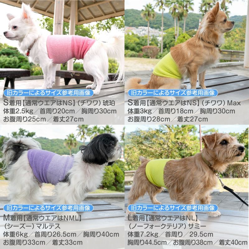 温度調整機能素材の腹巻き! シンプルぽんぽんウエア(R)(2023モデル)