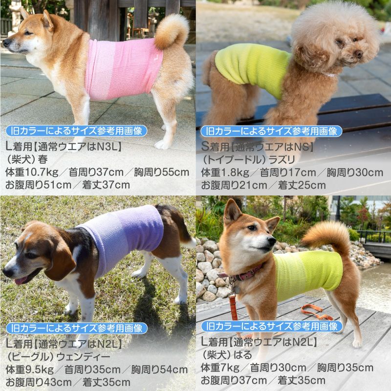 温度調整機能素材の腹巻き! シンプルぽんぽんウエア(R)(2023モデル)