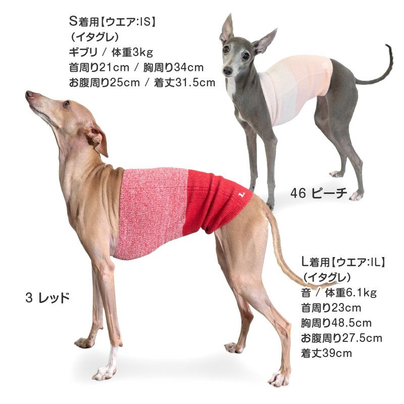 温度調整機能素材の腹巻き! シンプルぽんぽんウエア(R)(2023モデル)