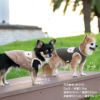 ポケット付きバイカラーフリースタンク(ダックス・小型犬用)