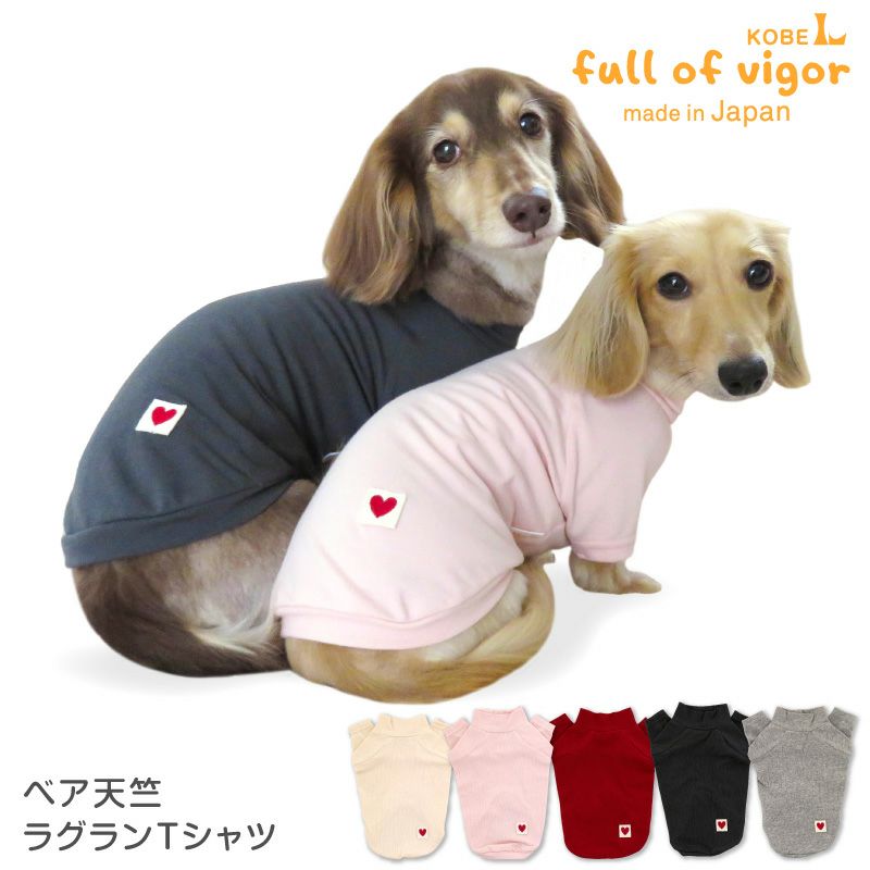 ベア天竺ラグランTシャツ(ダックス・小型犬用) | 犬猫の服の通販