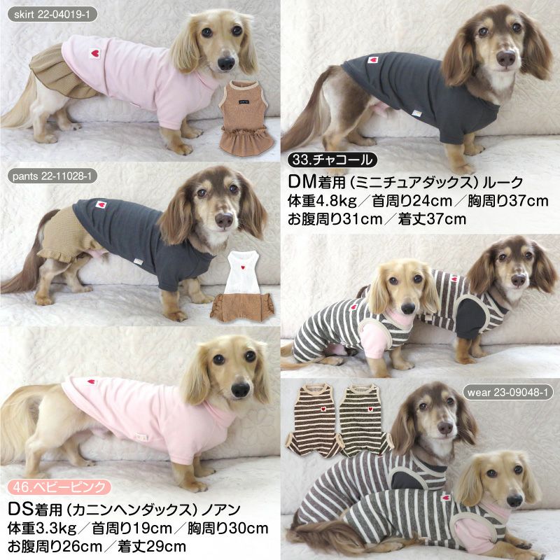 ベア天竺ラグランTシャツ(ダックス・小型犬用) | 犬猫の服の通販 