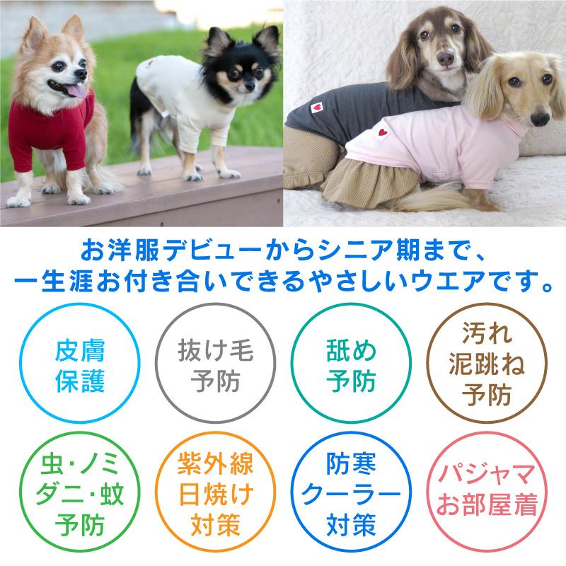 ベア天竺ラグランTシャツ(ダックス・小型犬用)	