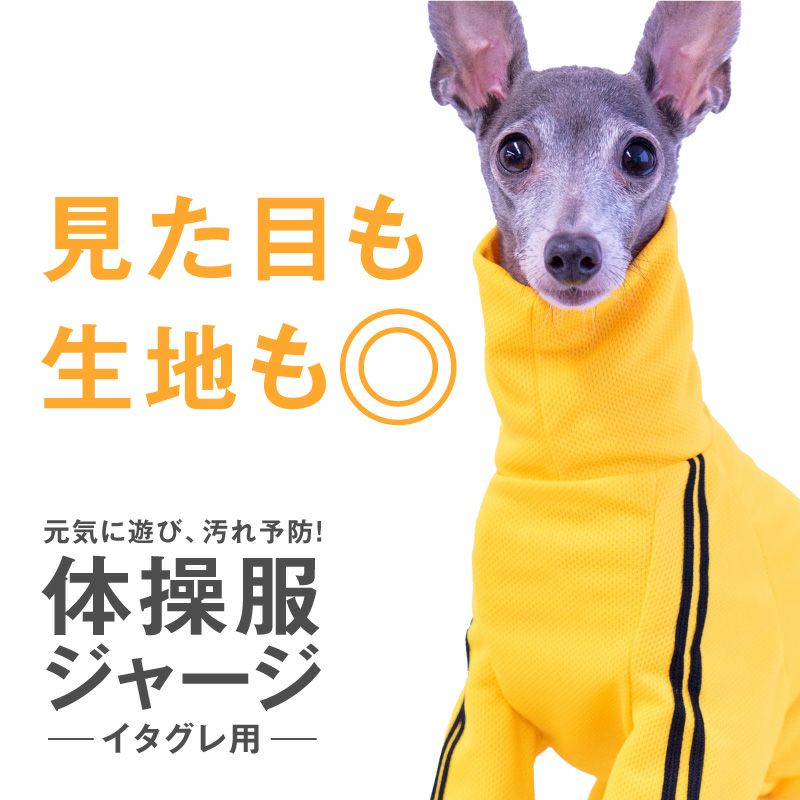 ドッグプレイ(R)体操服ジャージつなぎ(イタグレ用) | 犬猫の服の通販
