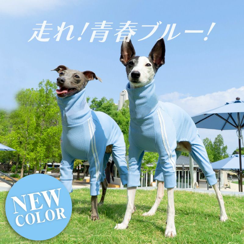 商品画像2
