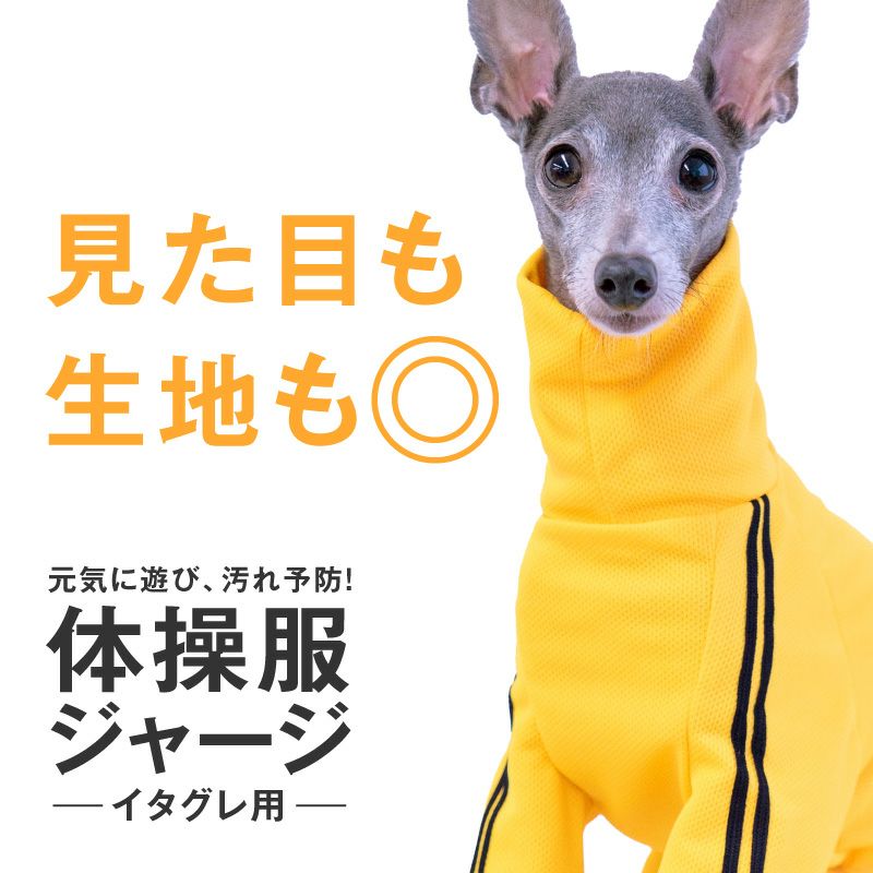 ドッグプレイ(R)体操服ジャージつなぎ(イタグレ用) | 犬猫の服の通販フルオブビガー本店