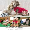 Fロゴ刺しゅうハイネックフリースタンク(ダックス・小型犬用)