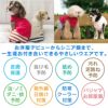 Fロゴ刺しゅうハイネックフリースタンク(ダックス・小型犬用)