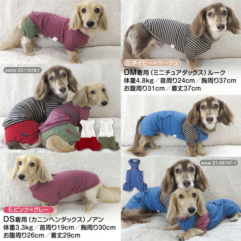 ラグウォームボーダーラグランTシャツ(ダックス・小型犬用)