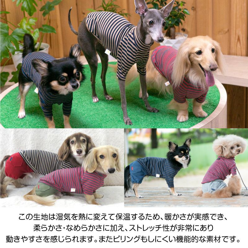 ラグウォームボーダーラグランTシャツ(ダックス・小型犬用)