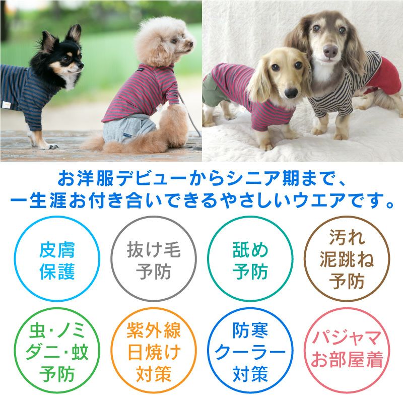 ラグウォームボーダーラグランTシャツ(ダックス・小型犬用)