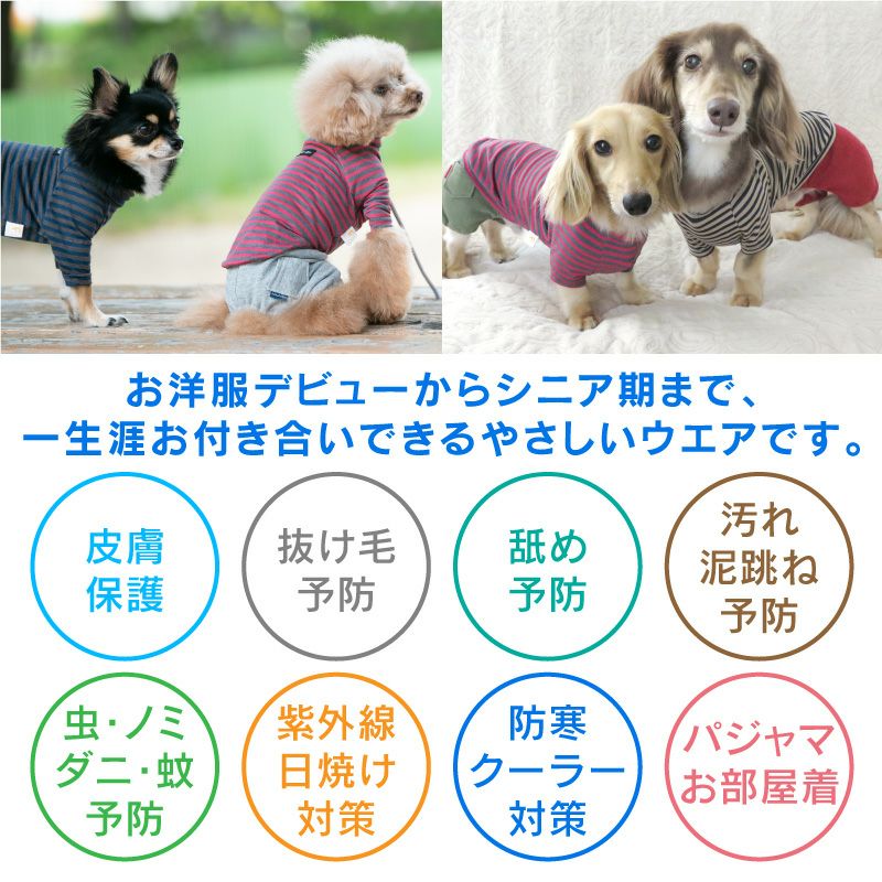 ラグウォームボーダーラグランTシャツ(ダックス・小型犬用)