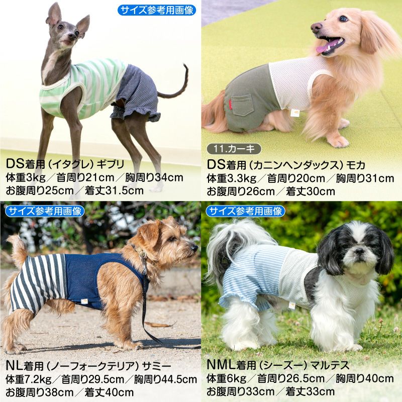 メッシュインナー付ミニ裏毛ジョガーパンツ(ダックス・小型犬用)
