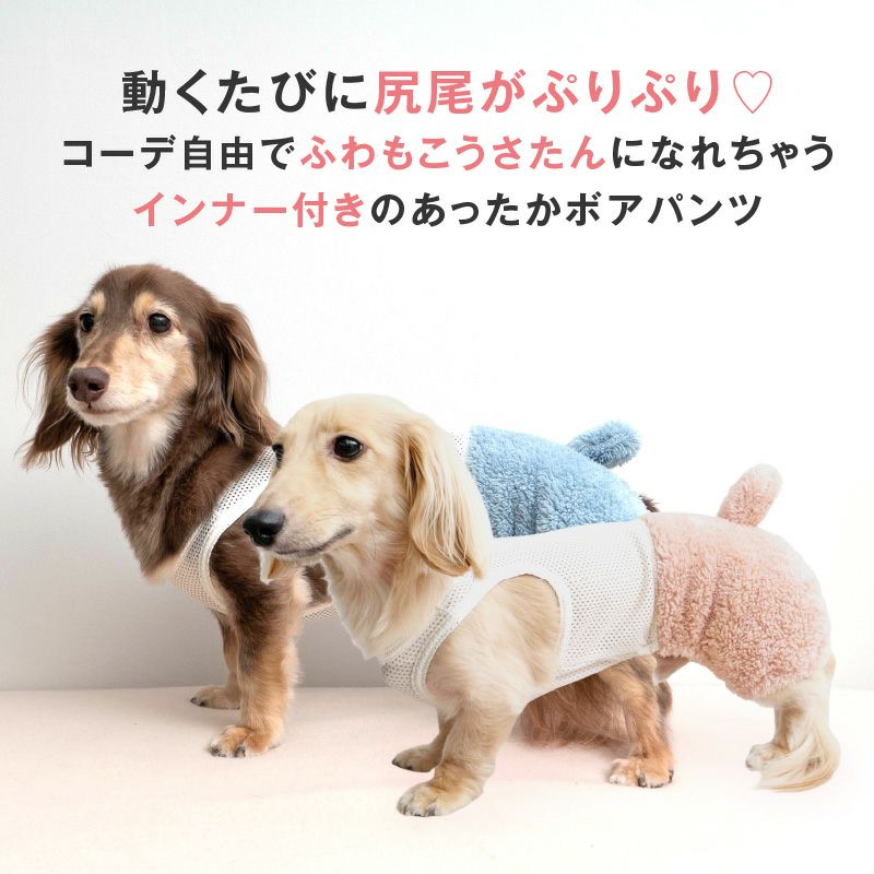 メッシュインナー付ボアうさぎしっぽパンツ(ダックス・小型犬用)