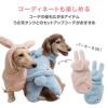 メッシュインナー付ボアうさぎしっぽパンツ(ダックス・小型犬用)