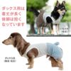 メッシュインナー付ボアうさぎしっぽパンツ(ダックス・小型犬用)