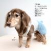 メッシュインナー付ボアうさぎしっぽパンツ(ダックス・小型犬用)