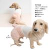 メッシュインナー付ボアうさぎしっぽパンツ(ダックス・小型犬用)