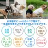 ハート刺しゅうふわもこボアラグラントレーナー(ダックス・小型犬用)