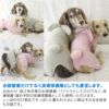 うさ耳パイルお部屋着(ダックス・小型犬用)