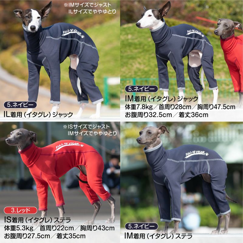 ドッグプレイ(R)裏起毛ラッシュガード(イタグレ用)