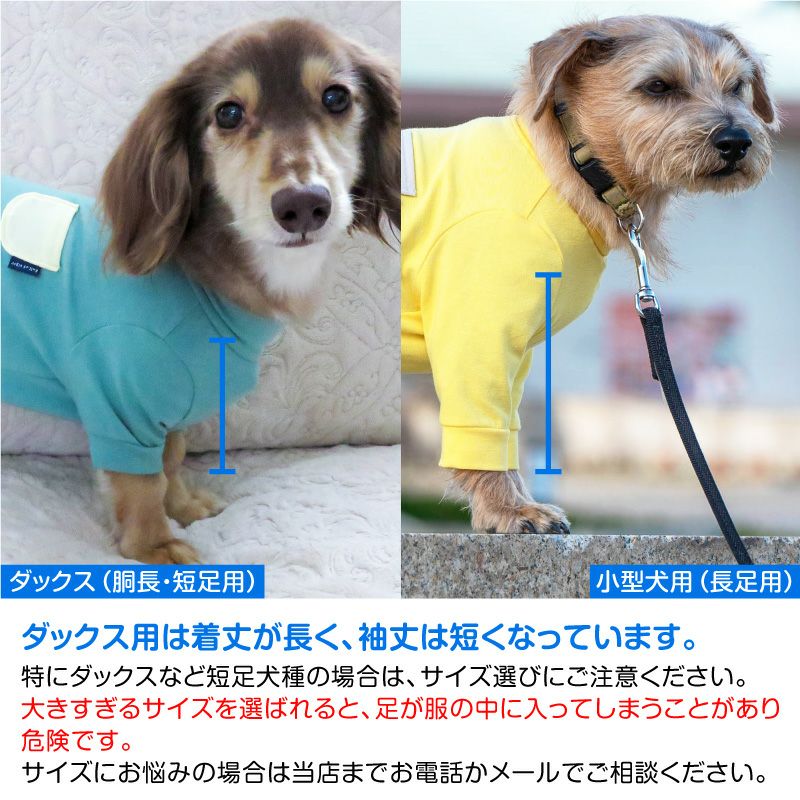 ポケット付バイカラーベア天竺長袖お部屋着(ダックス・小型犬用)