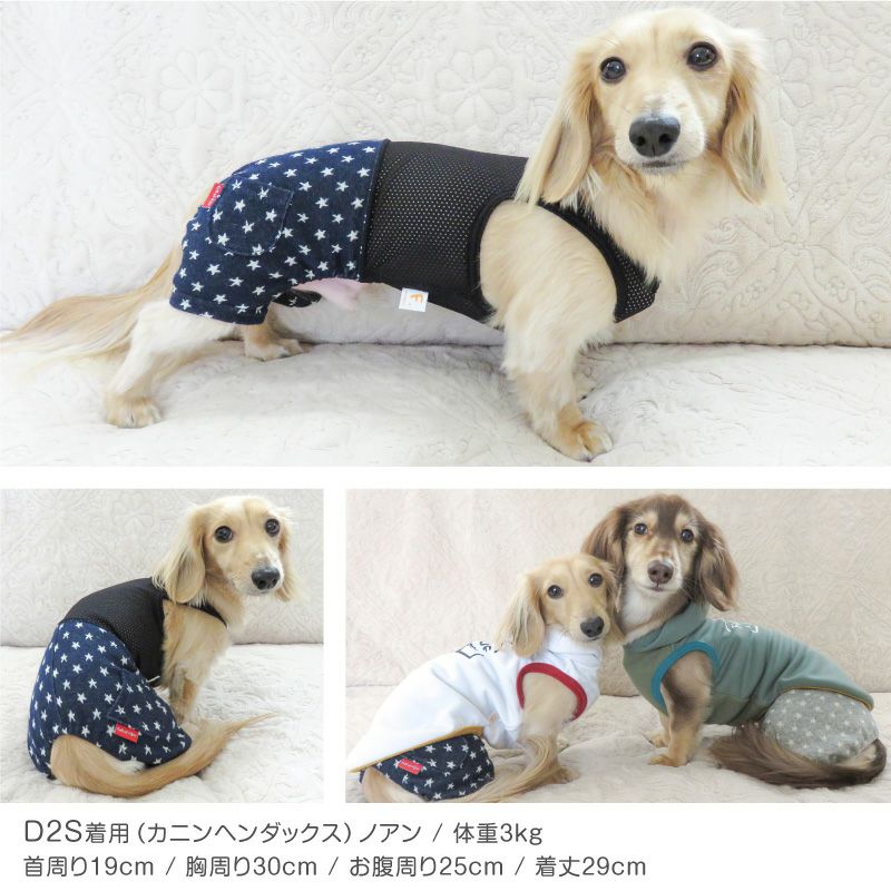 星柄デニムメッシュインナー付パンツ(ダックス・小型犬用) | 犬猫の服