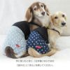 星柄デニムメッシュインナー付パンツ(ダックス・小型犬用)