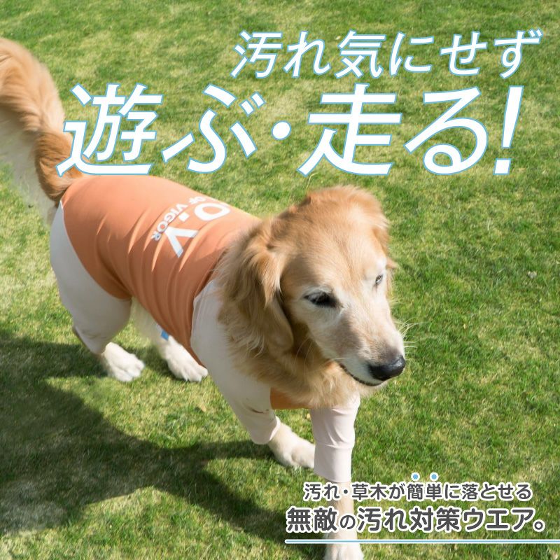 ドッグプレイ（R)接触冷感ハイテンションラッシュガード(大型犬用)