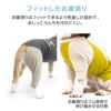 ドッグプレイ（R)接触冷感ハイテンションラッシュガード(大型犬用)