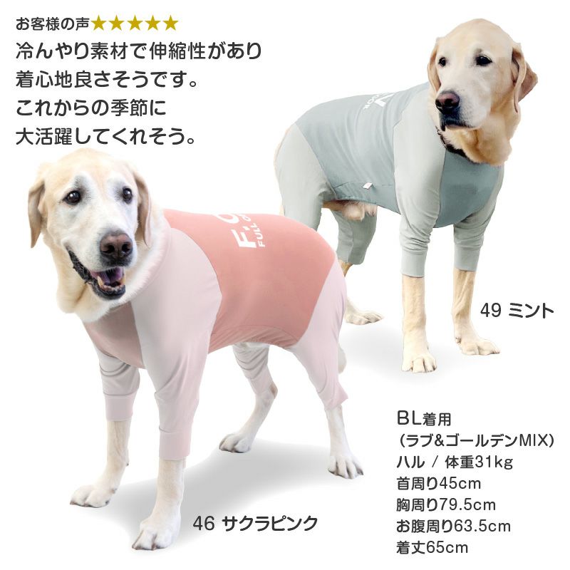 ドッグプレイ（R)接触冷感ハイテンションラッシュガード(大型犬用)