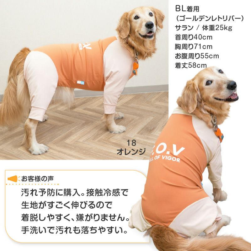 ドッグプレイ（R)接触冷感ハイテンションラッシュガード(大型犬用)